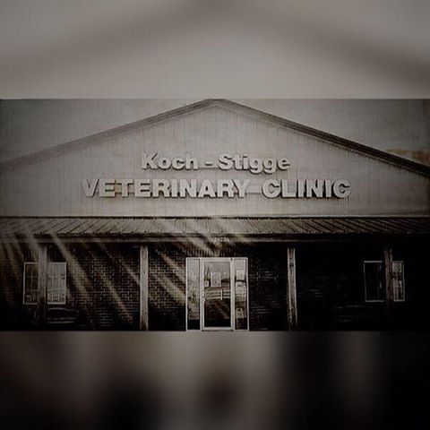 Koch Stigge Veterinary Clinic - Harrisonville , United States