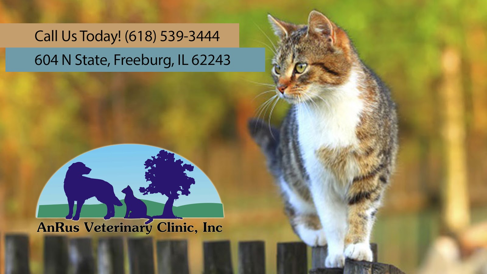 Anrus Veterinary Clinic - Freeburg , United States