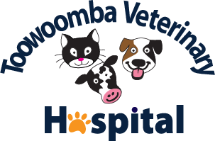 Toowoomba Veterinary Hospital - Toowoomba City , Australia