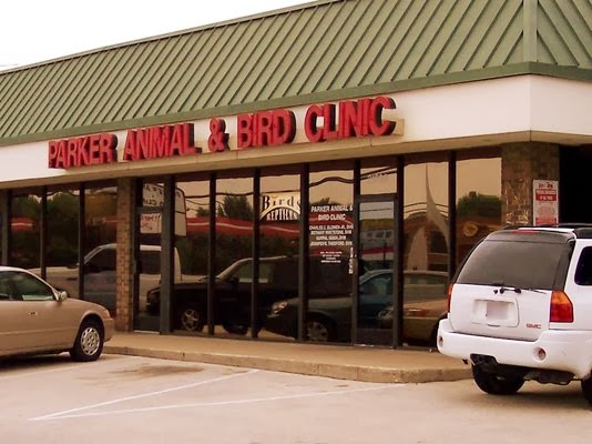 Animal and bird store clinic