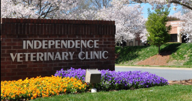 Independence Veterinary Clinic - Charlotte , United States