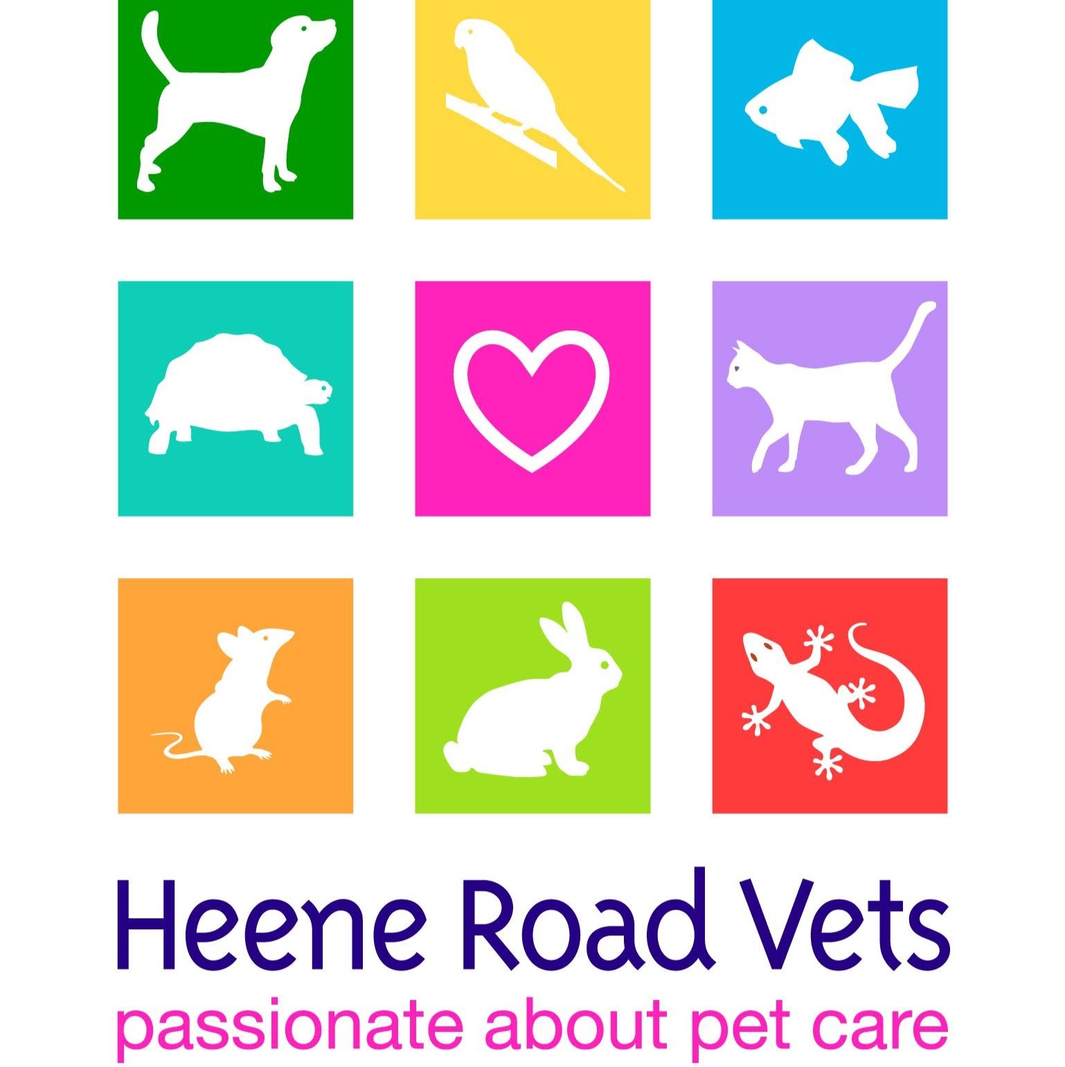 Heene Road Vets - Worthing , United Kingdom