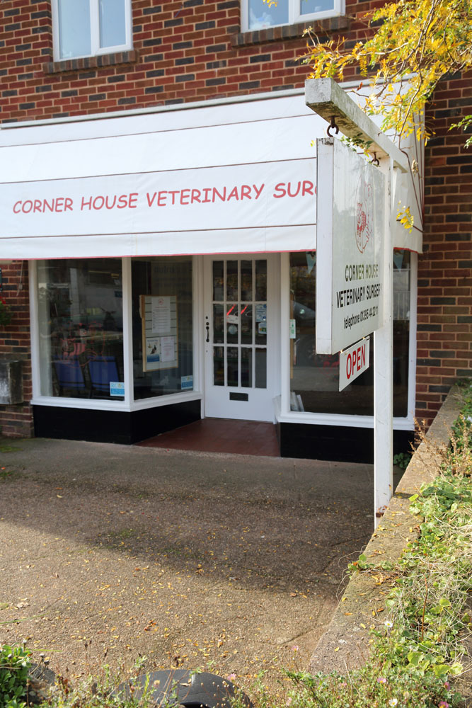 Corner House Veterinary Surgery - Budleigh Salterton , United Kingdom