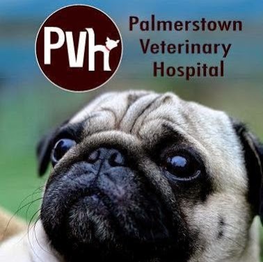 Palmerstown Veterinary Hospital - Dublin , Ireland