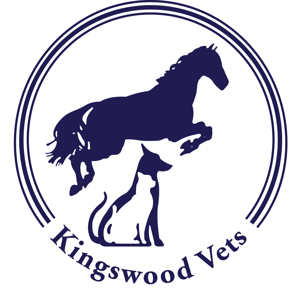 Donald Kingsnorth and Associates - Lightwater , United Kingdom