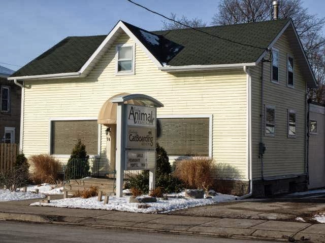 Ainslie Animal Hospital - Cambridge , Canada