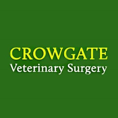 Bishops Castle Vets - Bishops Castle , United Kingdom