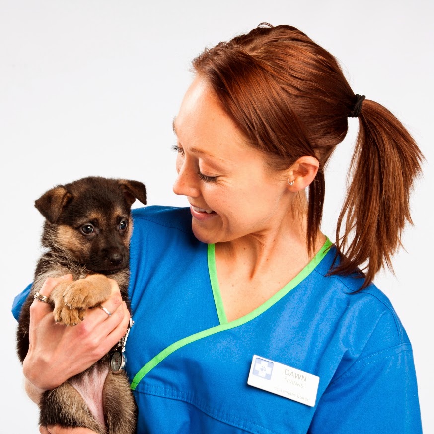 White Cross Vets - Leeds , United Kingdom