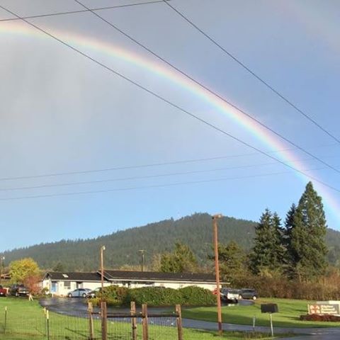 Alpine Animal Hospital - Corvallis , United States