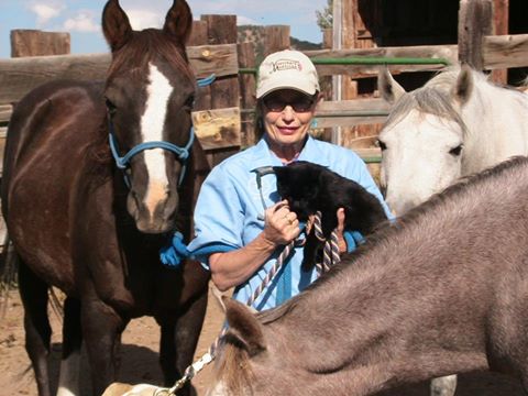 High Horse Ranch Veterinary Clinic - Gardner , United States