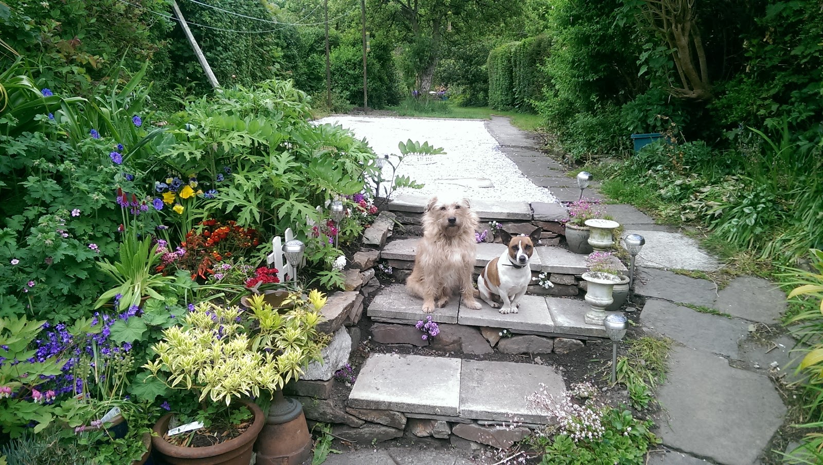 Westside Veterinary Clinic - Cork , Ireland
