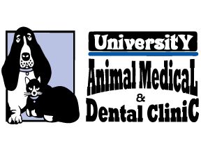 University Animal Medical and Dental Clinic - Harrisburg , United States