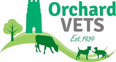 Orchard Vets - Glastonbury , United Kingdom