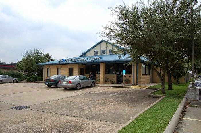 Vca Ashford Animal Hospital - Houston , United States