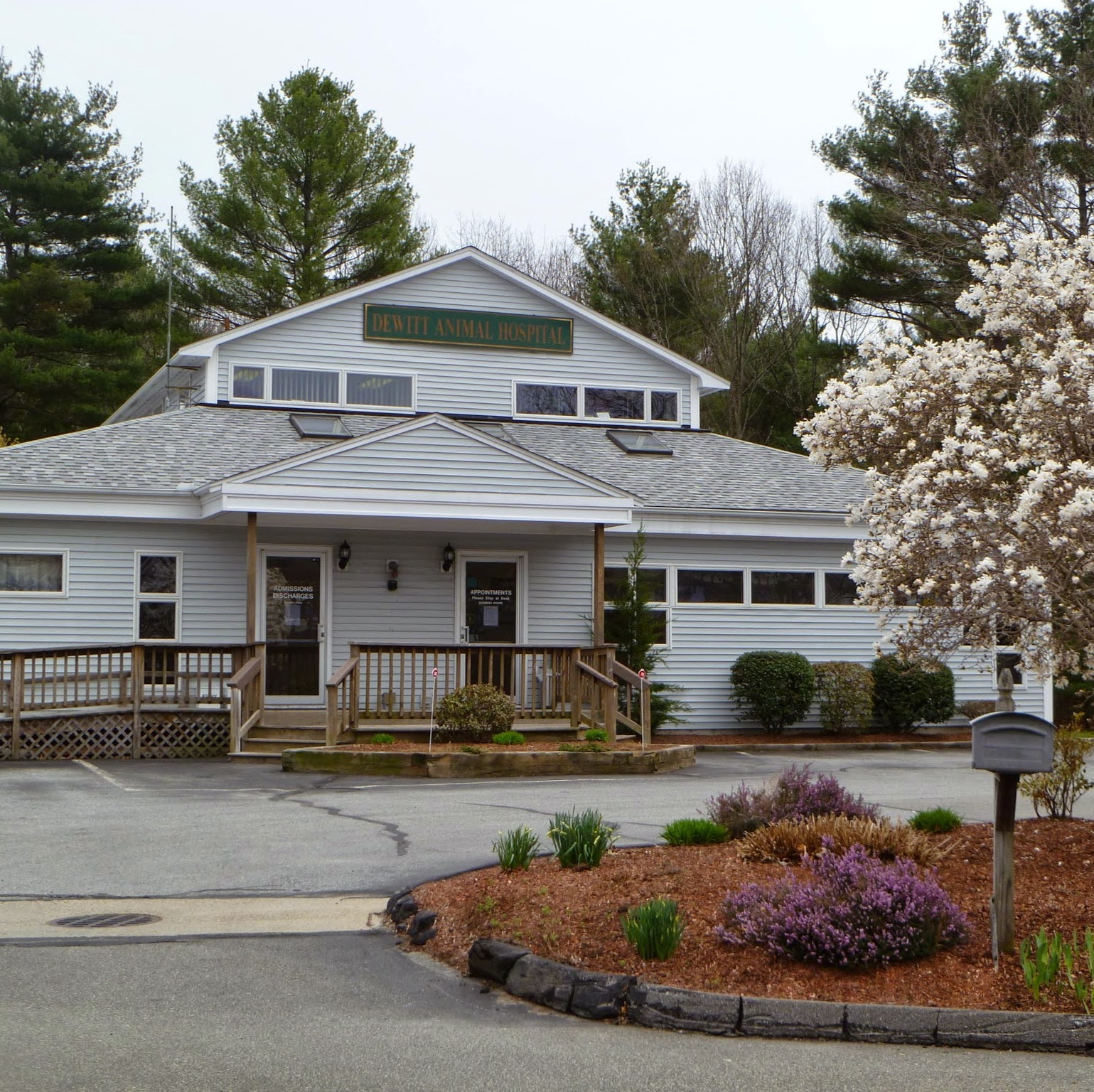 Dewitt Animal Hospital - Plainville , United States