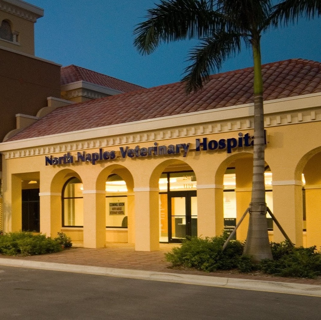 North Naples Veterinary Hospital - Naples , United States