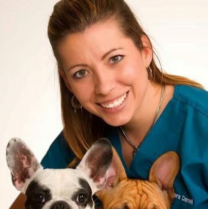 Shelter Island Veterinary Hospital - San Diego , United States