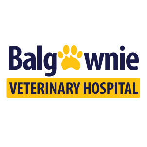 Your Village Vet Balgownie Veterinary Hospital - Balgownie , Australia