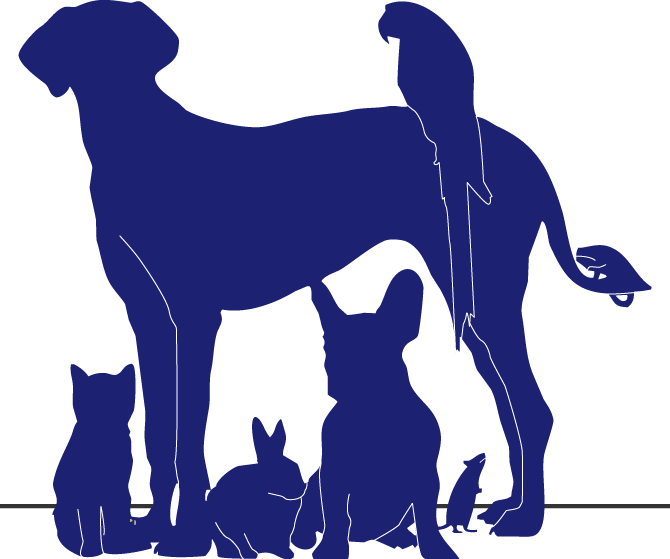 Kingsland Blvd Animal Clinic - Katy , United States