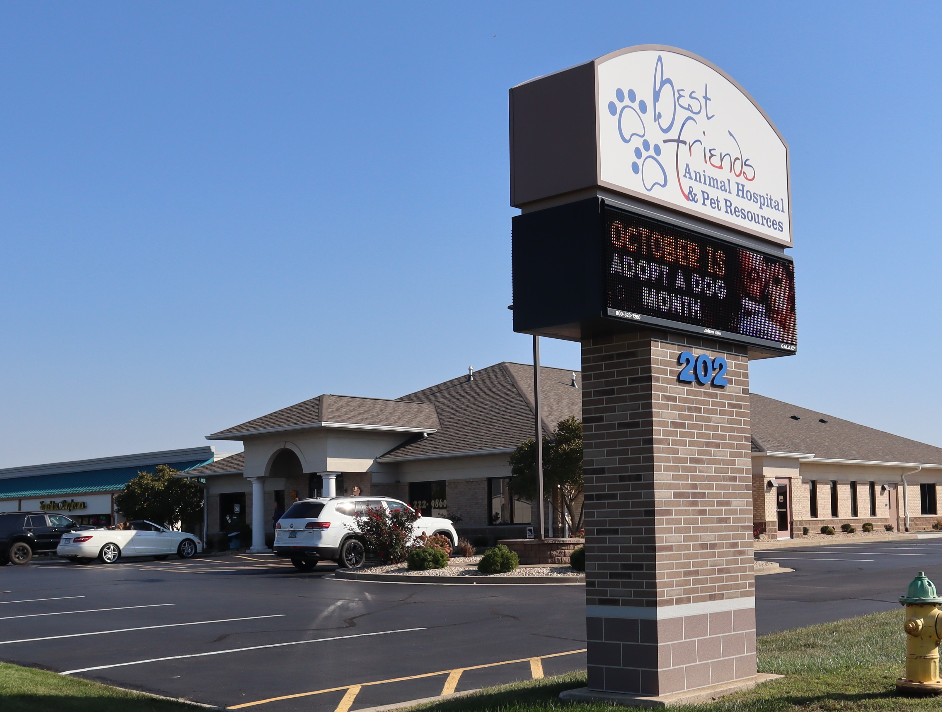 Best Friends Animal Hospital and Pet Resources - Swansea , United States