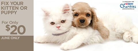 Sumner Spay Neuter Alliance - Gallatin , United States
