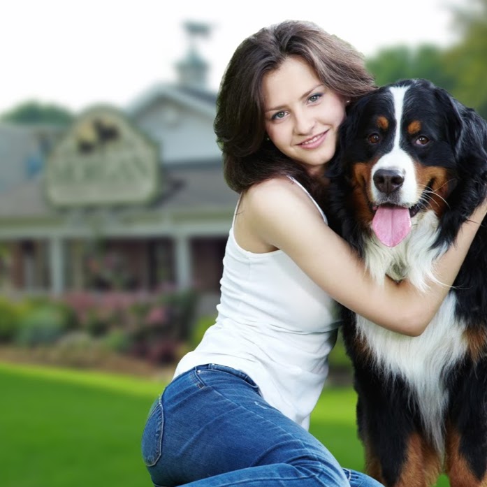 Morgan Animal Hospital - Niagara Falls , Canada