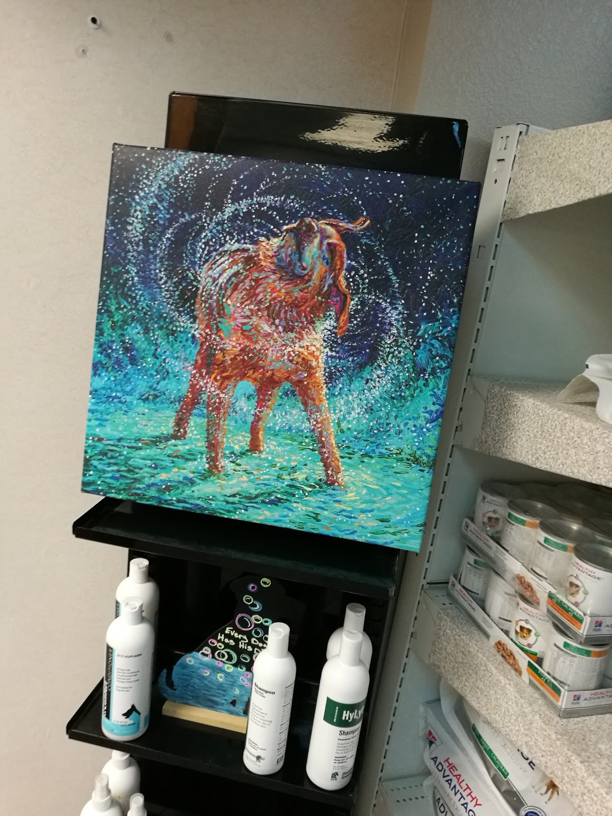 Creek View Veterinary Clinic Pllc - New Braunfels , United States