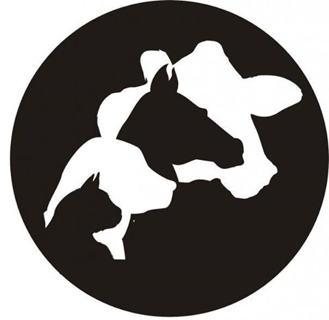 North Stewart Veterinary Clinic - Dover , United States