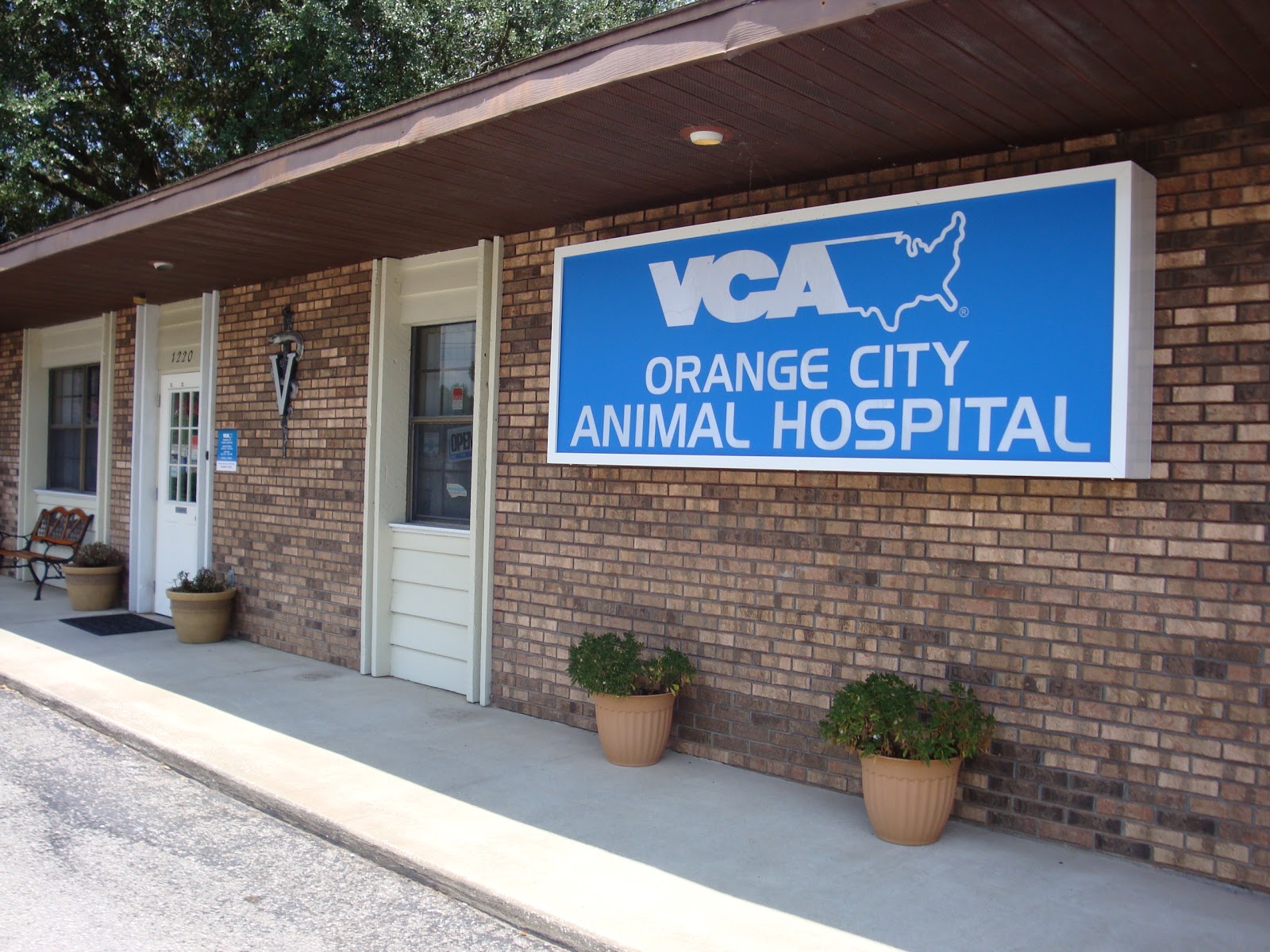 Vca orange animal sales hospital