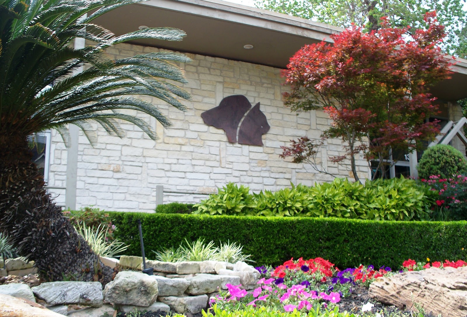 Neartown Animal Clinic - Houston , United States