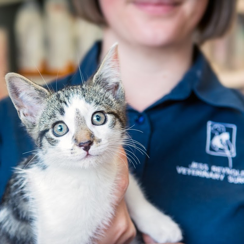 Mulberry Vets - Sudbury , United Kingdom
