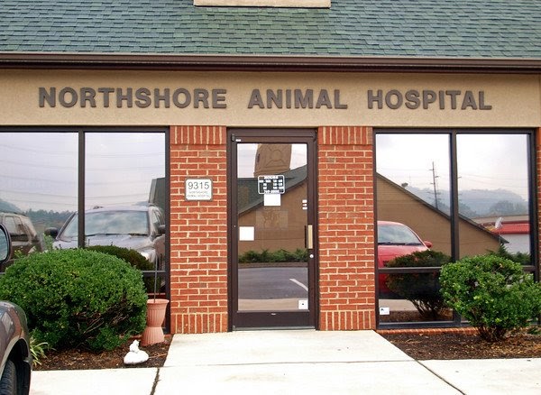 Northshore Animal Hospital - Knoxville , United States