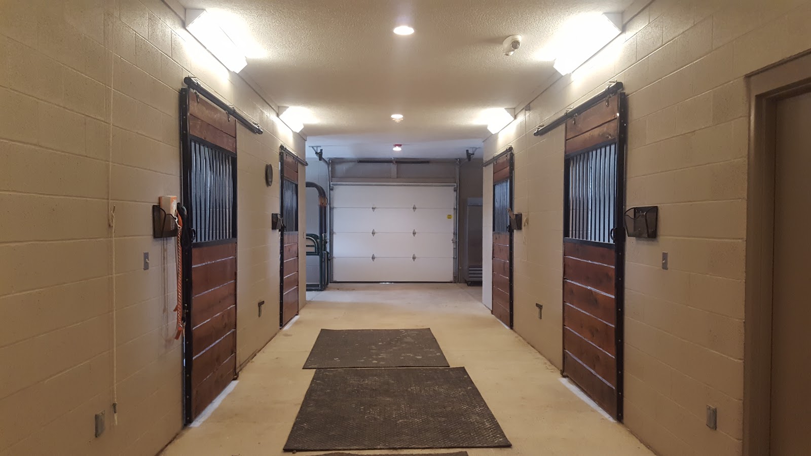 Cleveland Equine Clinic - Ravenna , United States