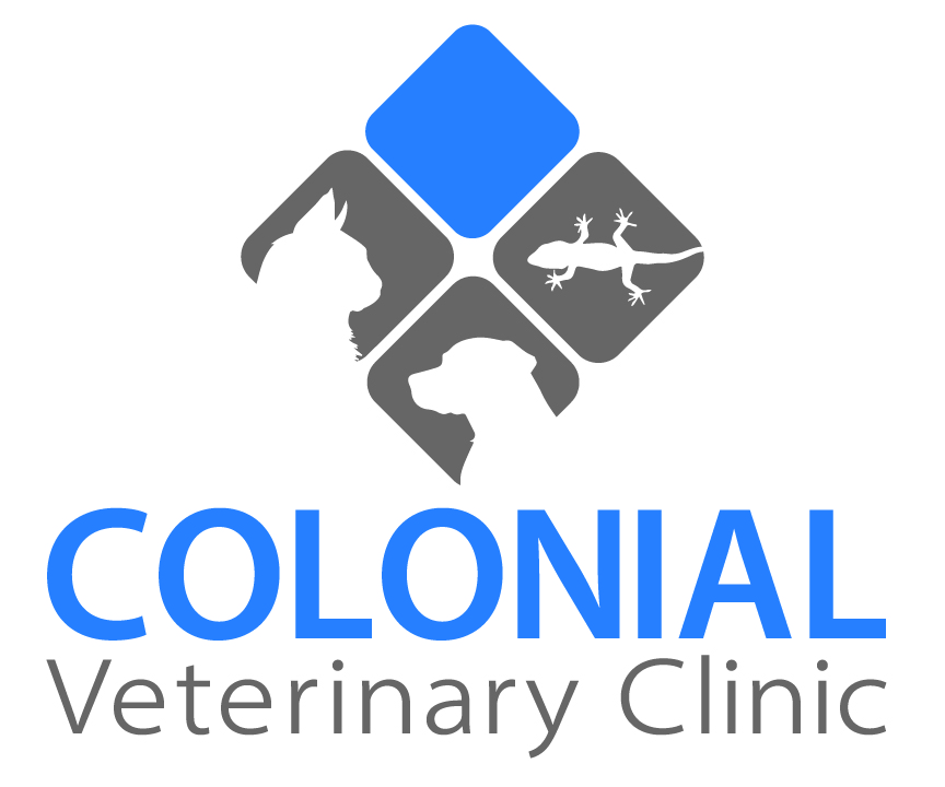 Colonial Veterinary Clinic - Williamsburg , United States