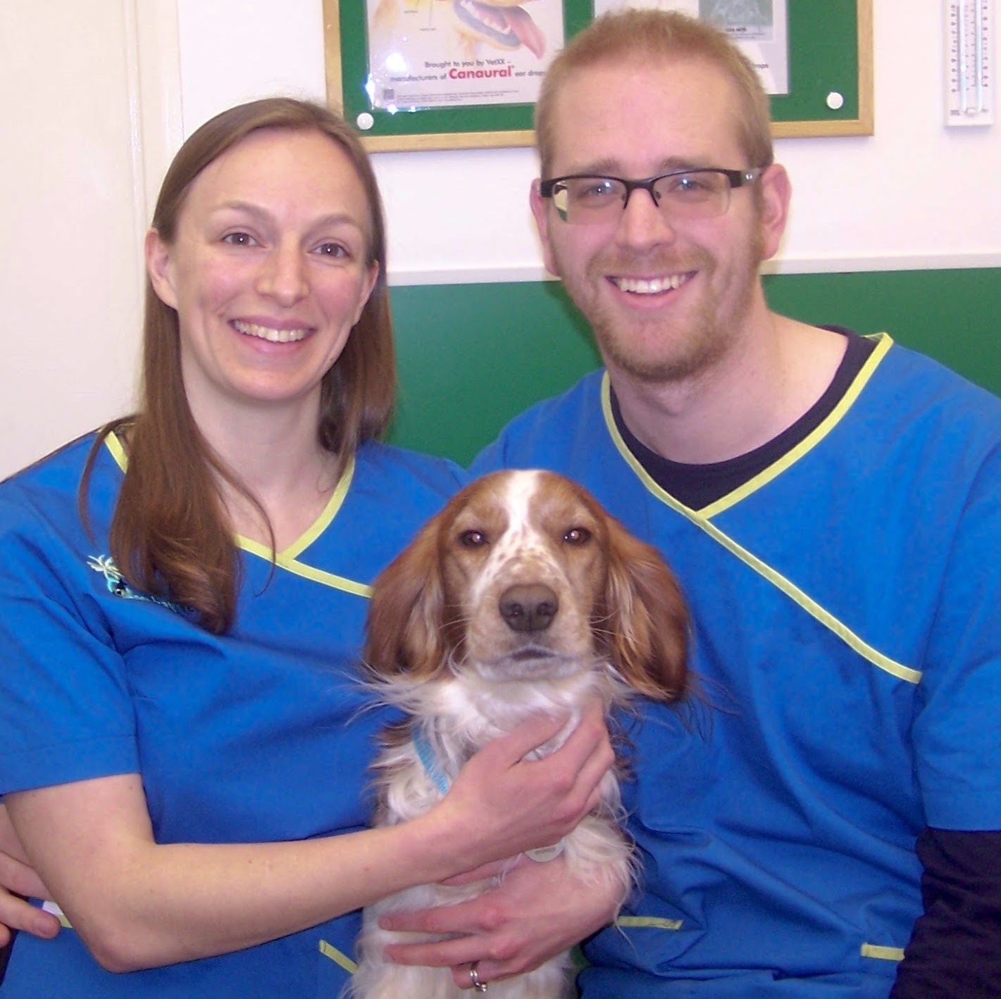 Greenbay Vets Paignton - Paignton , United Kingdom