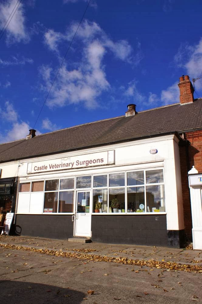 Castle Veterinary Surgeons Bishop Auckland - Bishop Auckland , United Kingdom