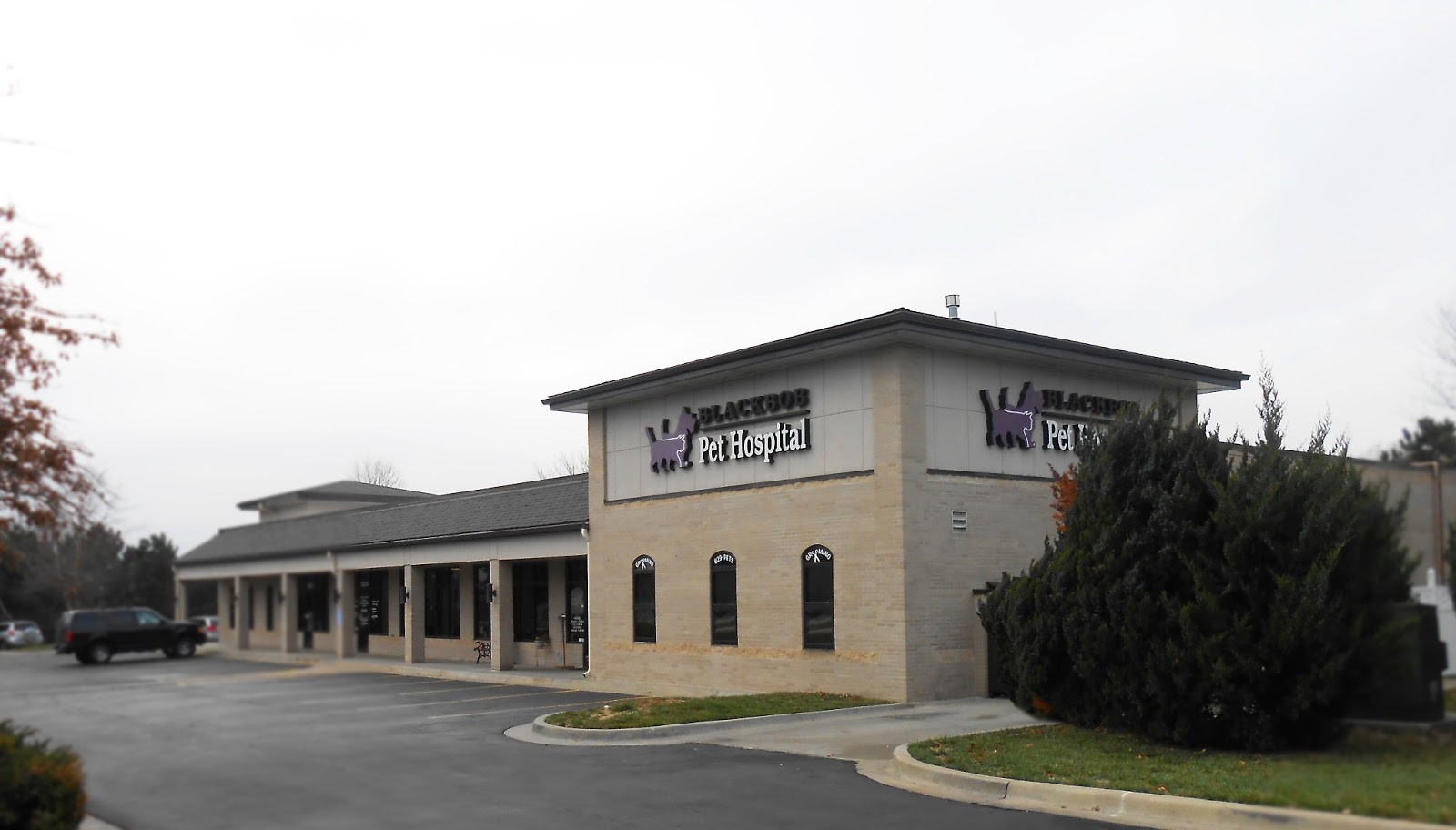Blackbob Pet Hospital And Cat Clinic - Olathe , United States