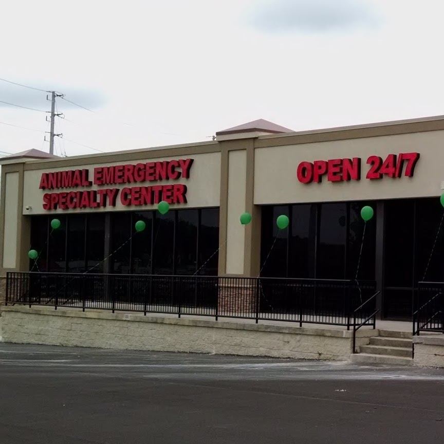 Animal Emergency And Specialty Center Of Chattanooga - Chattanooga , United States