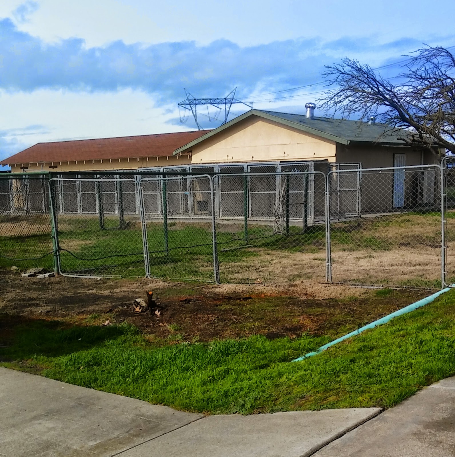 Tail Wag Inn Veterinary Hospital And Boarding Kennel - Oakley , United States