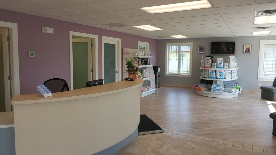 Hometown Veterinary Hospital - Fredericton , Canada