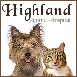 Highland Animal Hospital - Dunedin , United States