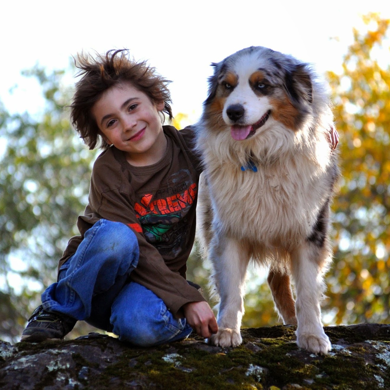 Westridge Pet Hospital And Wellness Center - Schertz , United States