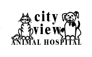 City View Animal Hospital - Fort Worth , United States