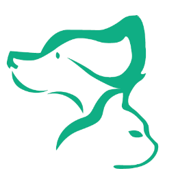 Bluepearl Pet Hospital Town N Country - Tampa , United States