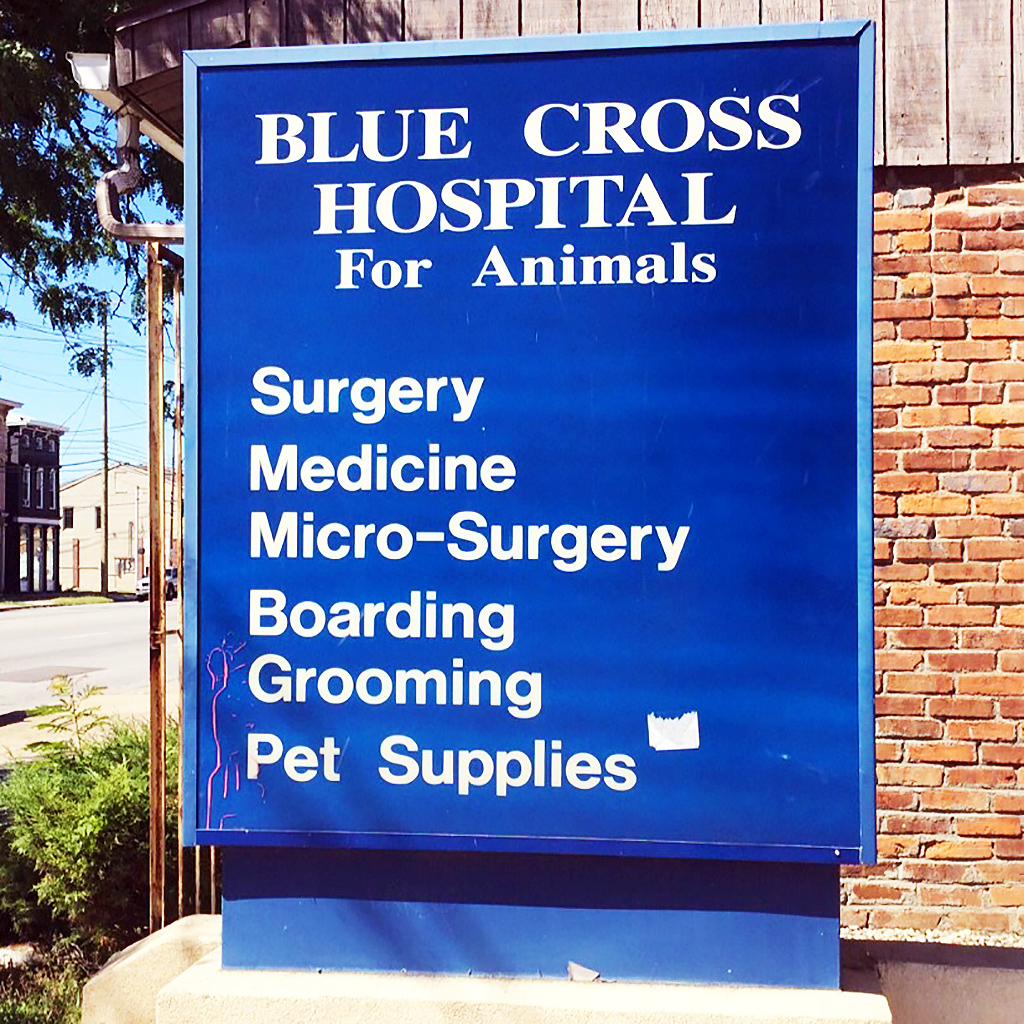 Blue Cross Animal Hospital - Louisville , United States