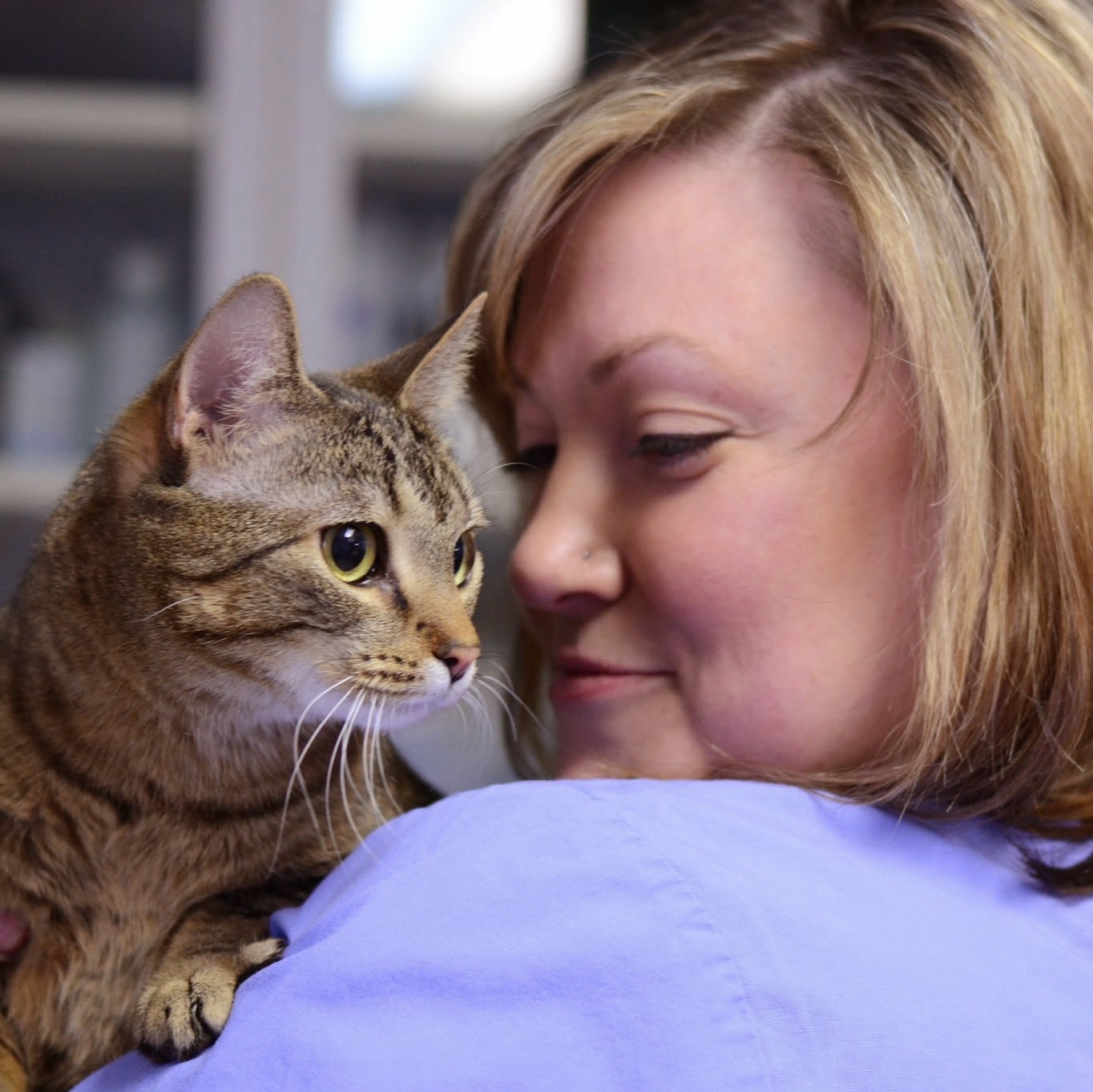 Animal Hospital Of Verona - Verona , United States