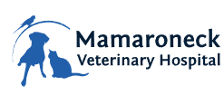 MamaroneckVetHospital@outlook.com - Mamaroneck , United States