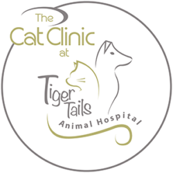 The Cat Clinic at Tiger Tails - Duluth , United States