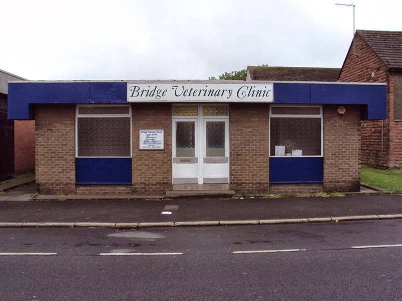 Bridge Veterinary Clinic - Dumfries , United Kingdom