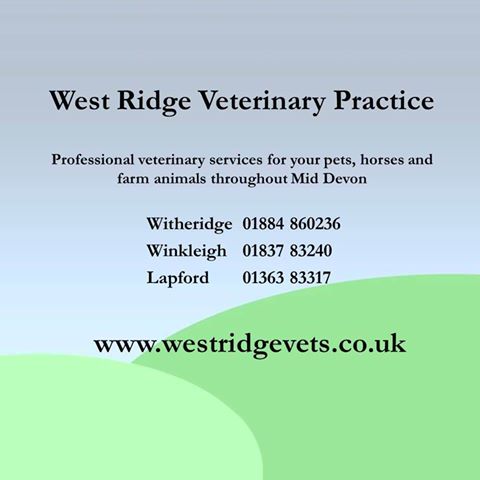 West Ridge Equine Veterinary Practice - Winkleigh , United Kingdom